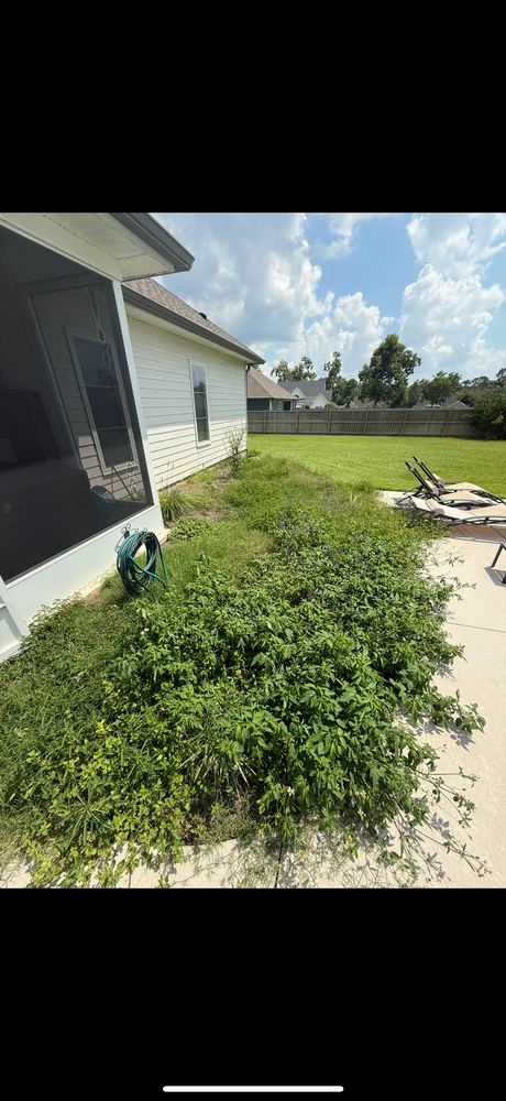 All Photos for South Georgia Lawn Care in Valdosta, GA