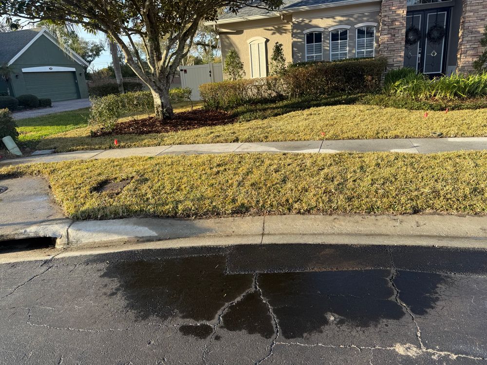 All Photos for Amerigrown Tree And Lawn in Apopka, FL