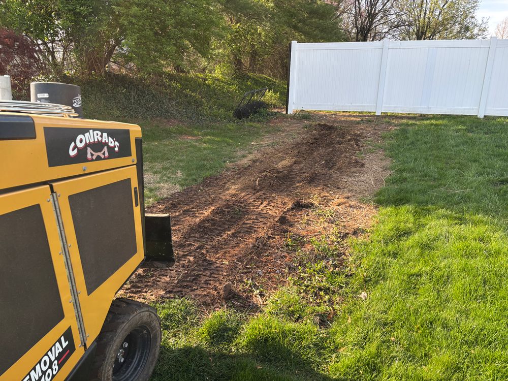 All Photos for Conrad's Stump Removal in Columbus, IN