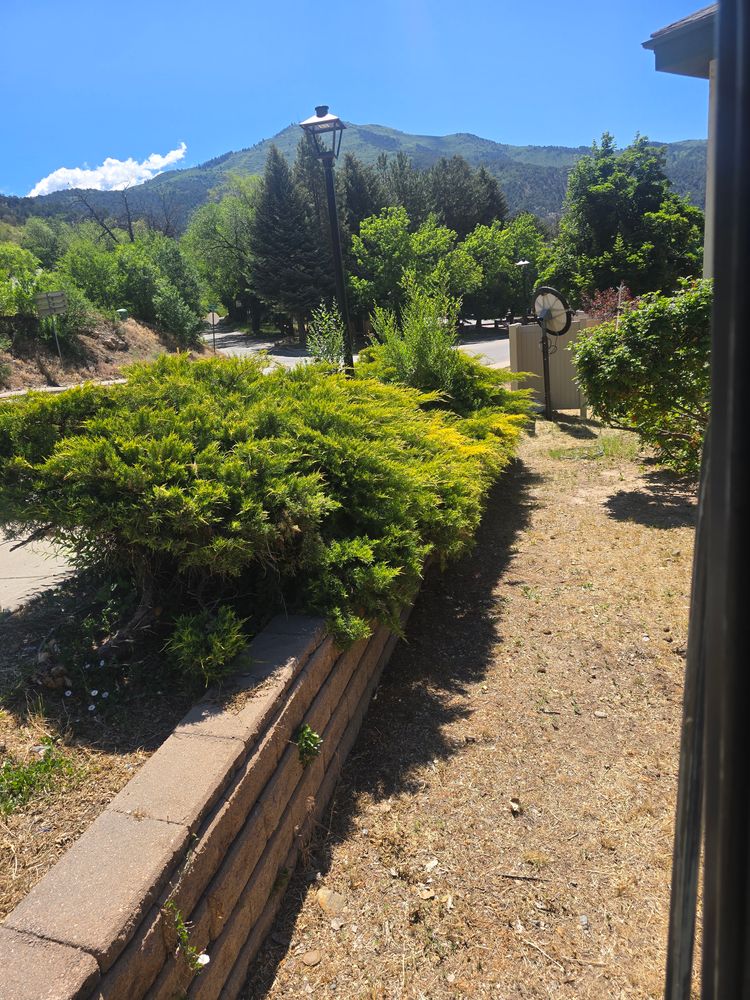 All Photos for LRS: Landscape, Rescue, Snow in Silt, CO
