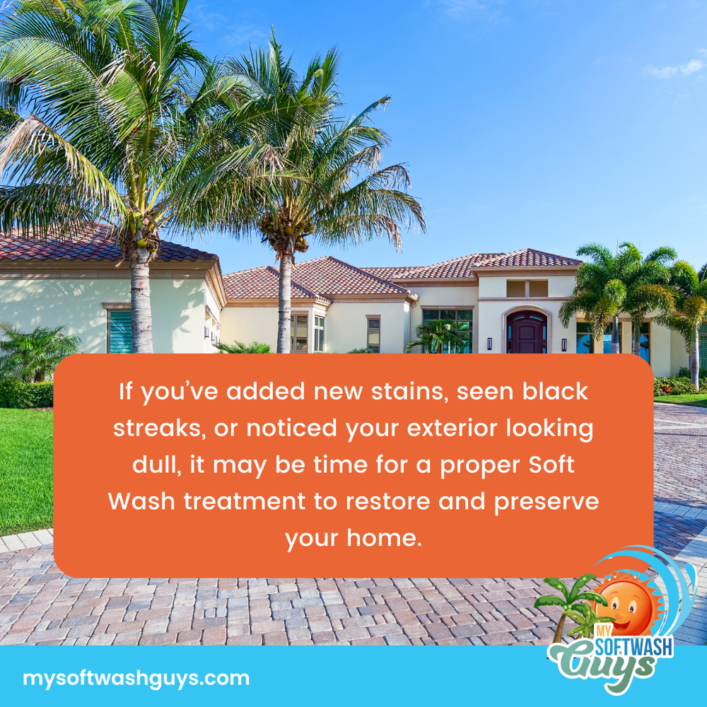 All Photos for My Soft Wash Guys in Venice, FL