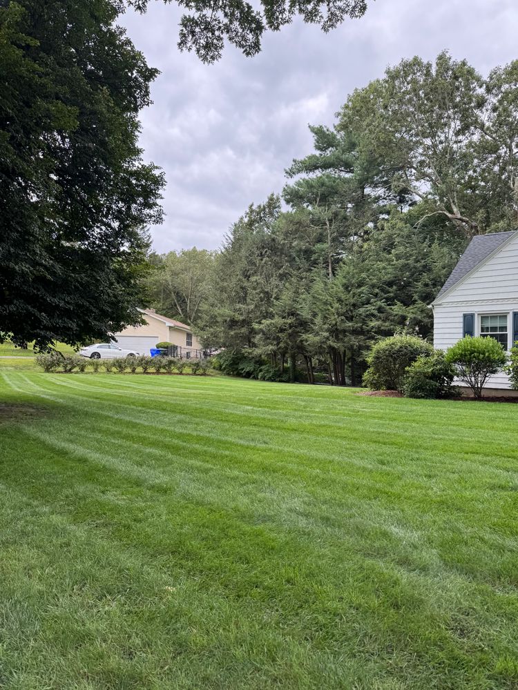 All Photos for Adams Landscaping in Springfield, MA