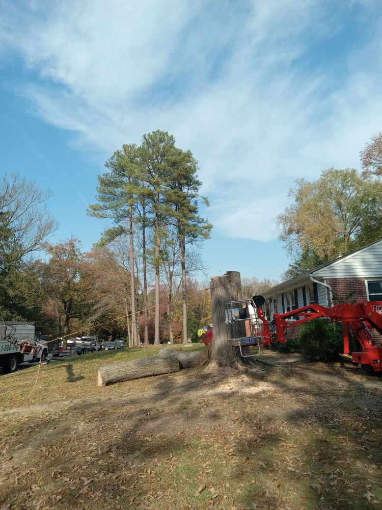 All Photos for Smith Tree Experts in Palmyra, VA