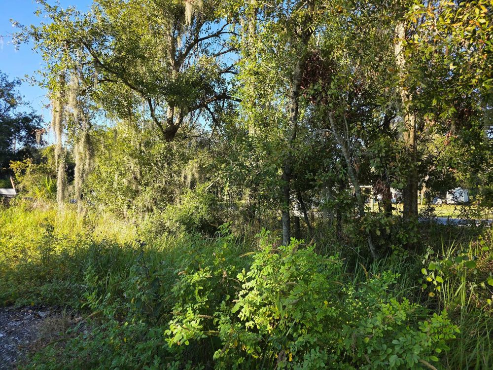 All Photos for Bay Area Bobcat in Riverview, FL