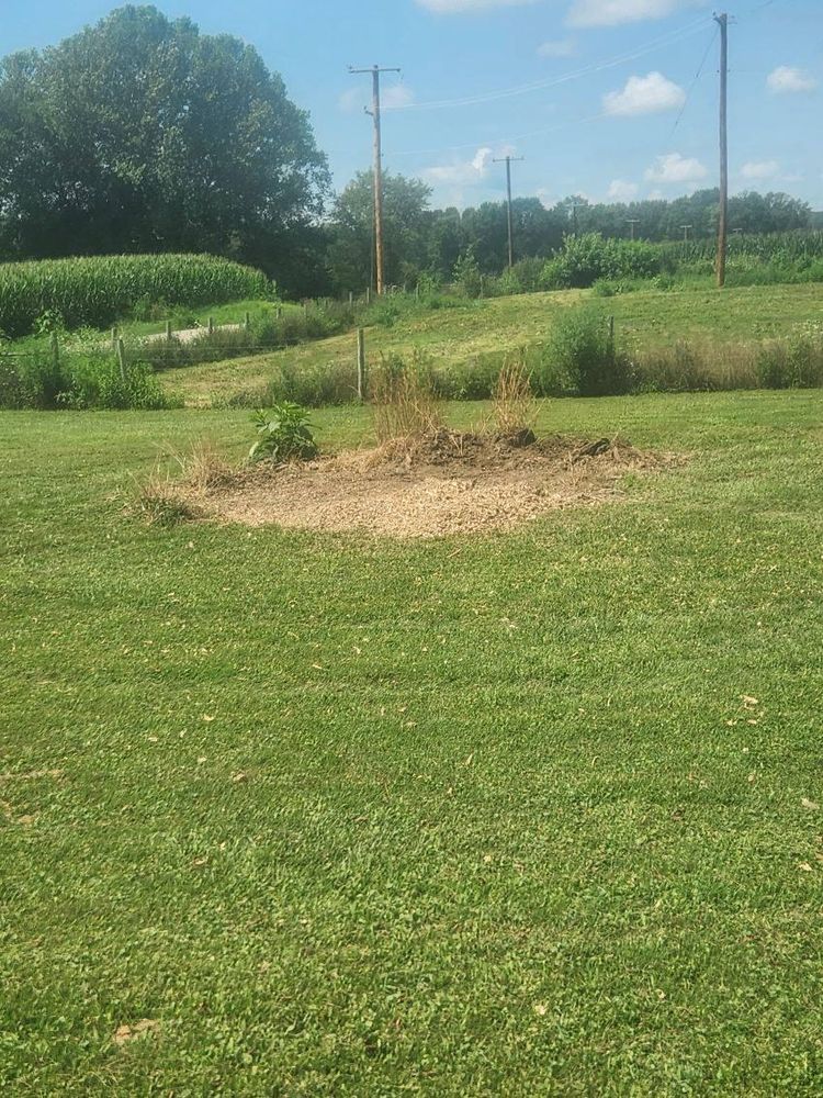 All Photos for I and R Stump Grinding in Thornville, OH