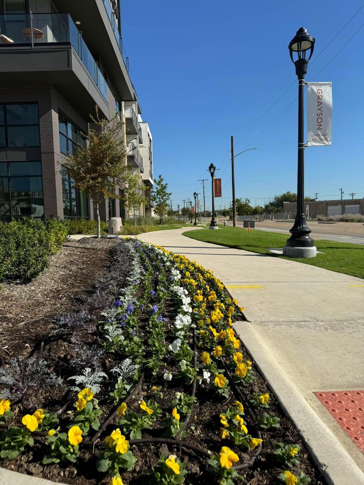 Seasonal color changes for Guerrero's Landscape in Fort Worth,  TX