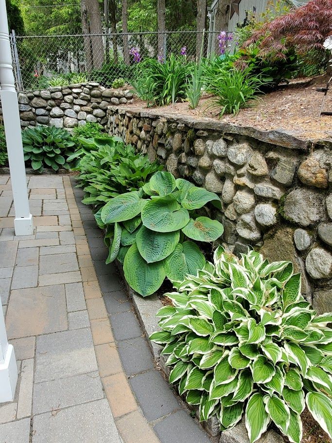 Landscaping for Evolution Earthscapes, LLC in Ludlow, MA