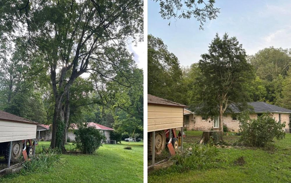 All Photos for McBee’s Tree Service in Sewanee, TN