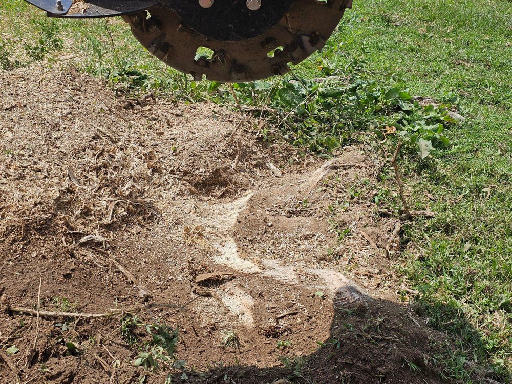 All Photos for I and R Stump Grinding in Thornville, OH