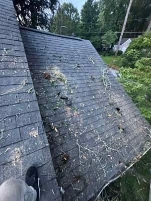 All Photos for Bulldawg Disaster Response in Atlanta, GA