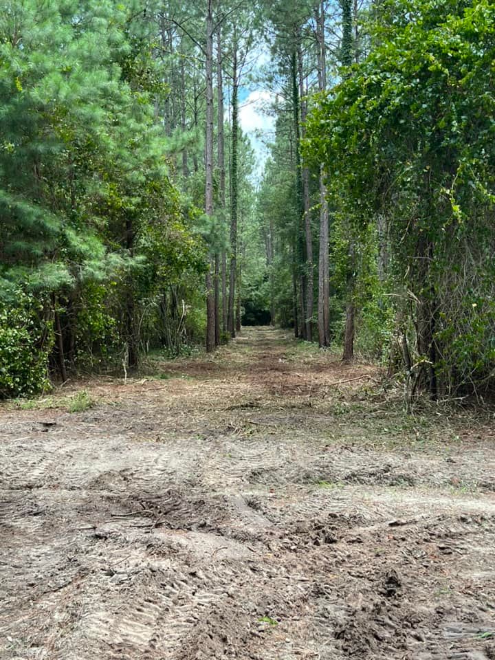 Tree Removal for Thompson Forestry Mulching & Stump Grinding in Douglas, GA