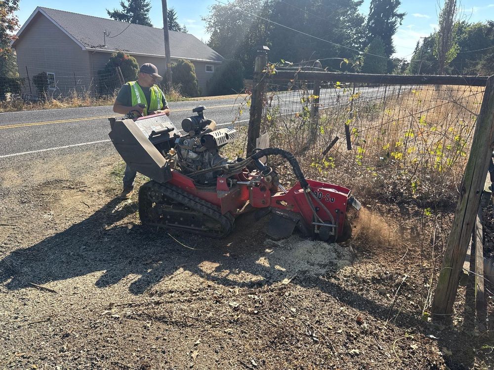 Stump grinding for Willamette Landscaping and Tree Services in Albany, OR