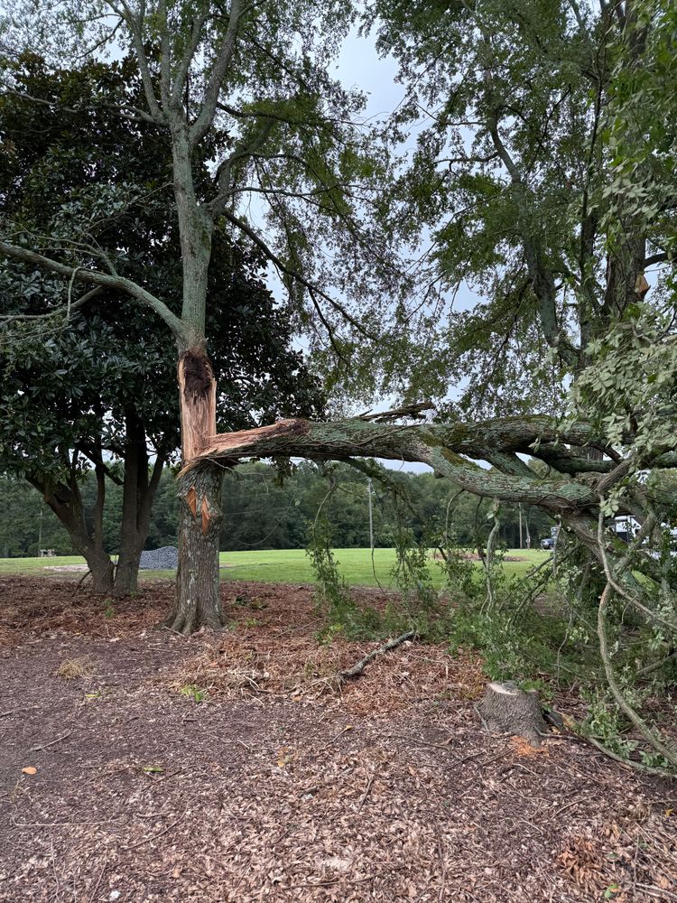 All Photos for Brooks Tree Service in Casar, NC