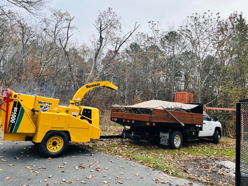 Tree Removal for Lux Arbor Tree Services in Harrisonburg, VA