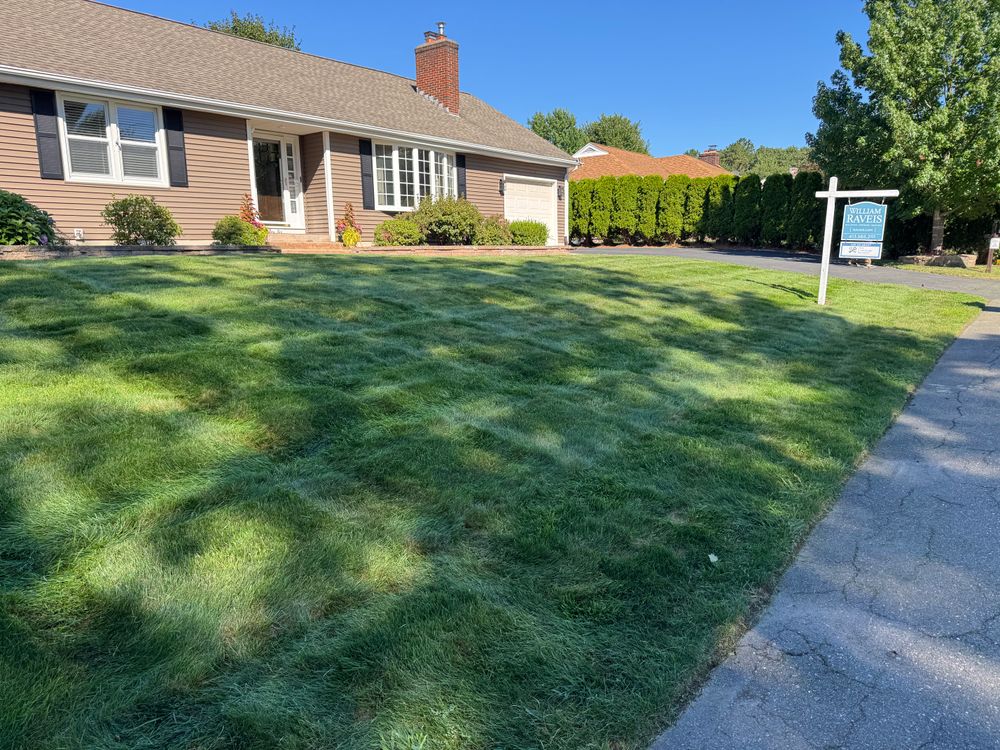 All Photos for Adams Landscaping in Springfield, MA