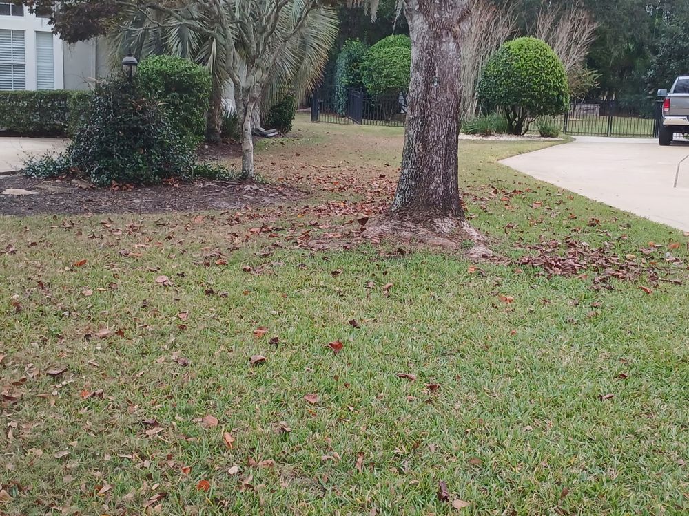 All Photos for Whole 9 Yards Services in Green Cove Springs, FL