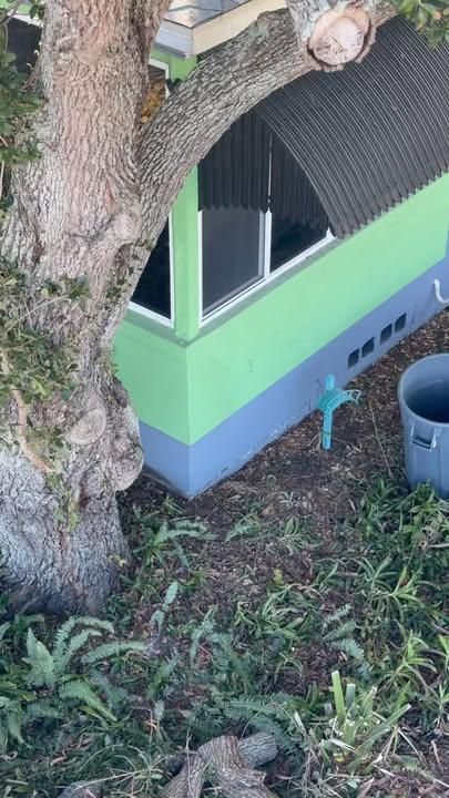 All Photos for Ryker's Tree Service in Dunedin, FL