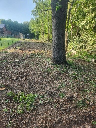 All Photos for Lawn Ranger Yard And Tree Service LLC in Ottumwa, IA