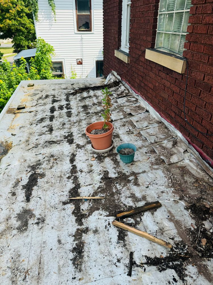 All Photos for Erie Builders & Construction in Sandusky, OH