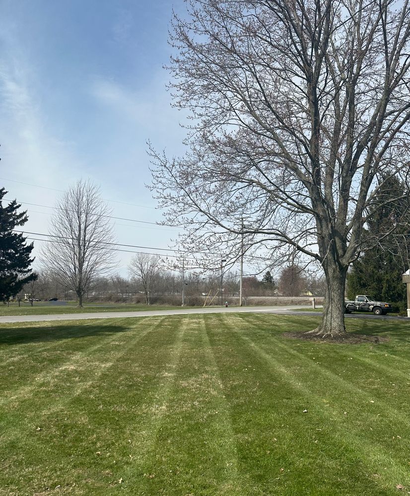 Lawn Care for OT Lawn and Landscaping LLC in Carey, OH