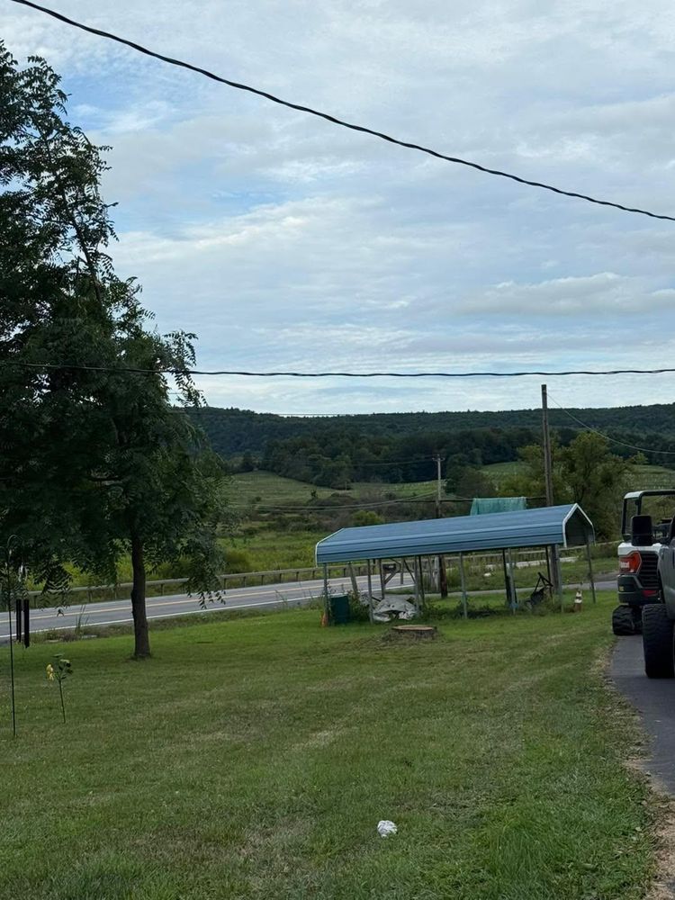 All Photos for Sterlings Tree Removal in Cobleskill, New York