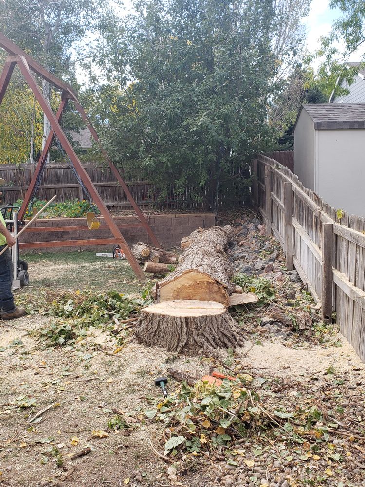 All Photos for Sloan Tree Service in Aurora, CO