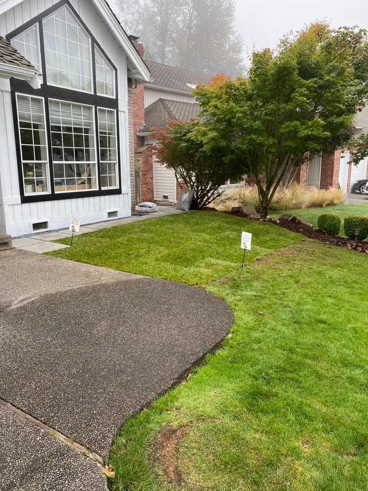 All Photos for Tony's Remodeling & Painting in Renton, WA