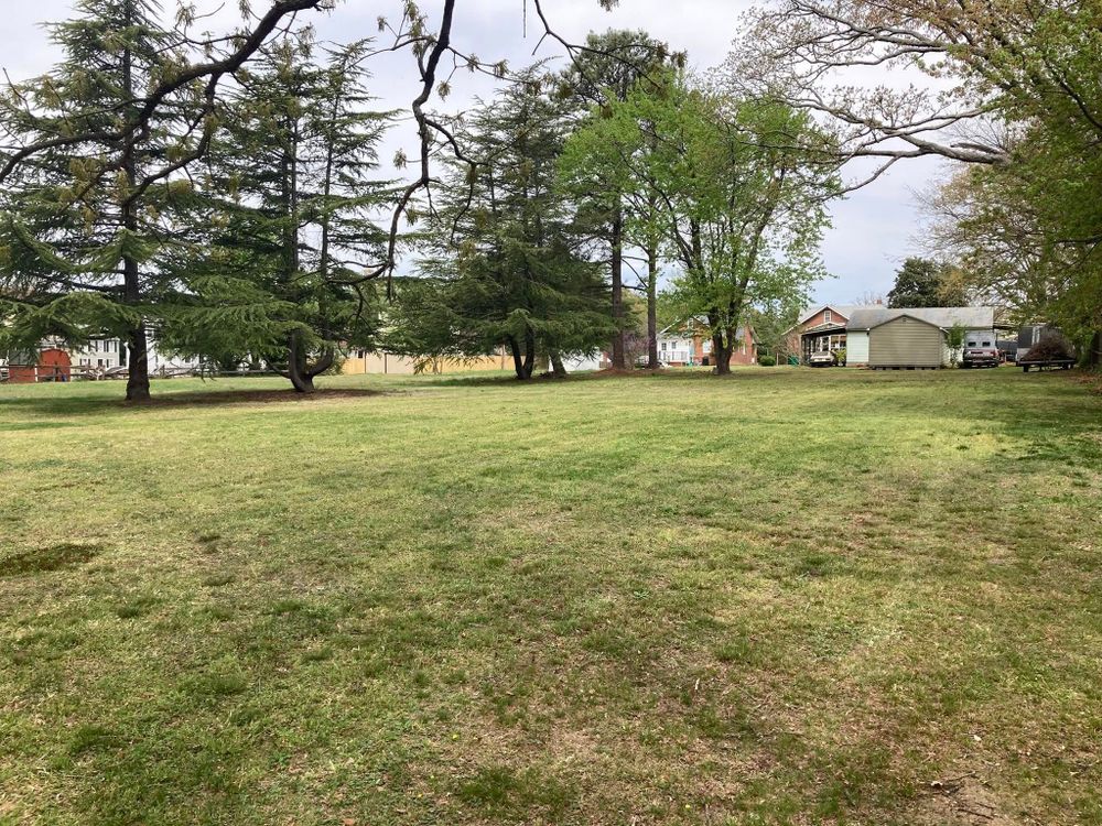 All Photos for Green Horizon Lawncare in North Chesterfield, VA