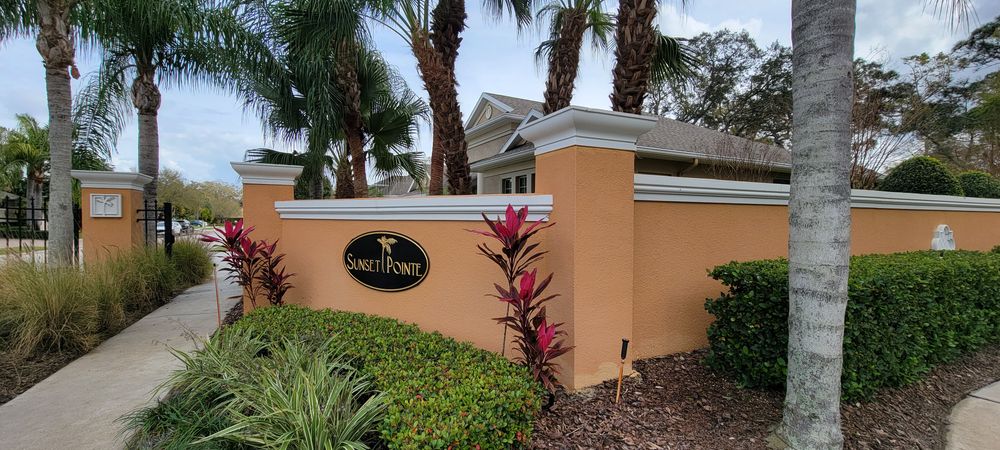 All Photos for Blue Stream Roof Cleaning & Pressure Washing in Tampa, FL