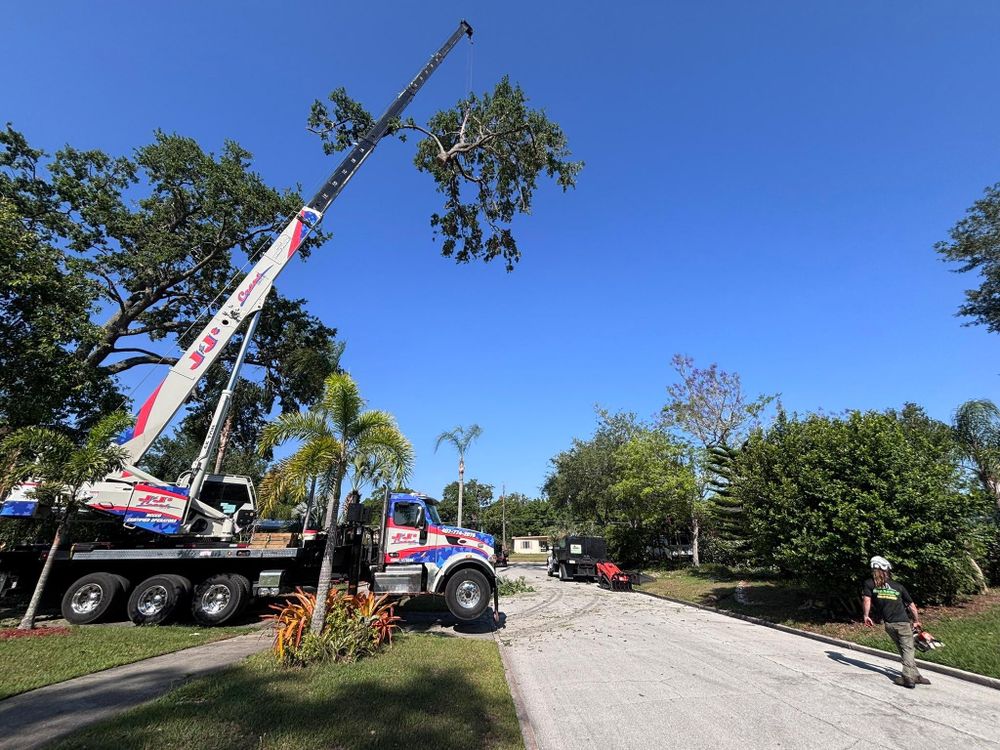 All Photos for McGraw’s Lawn and Tree Service in DeLand, FL