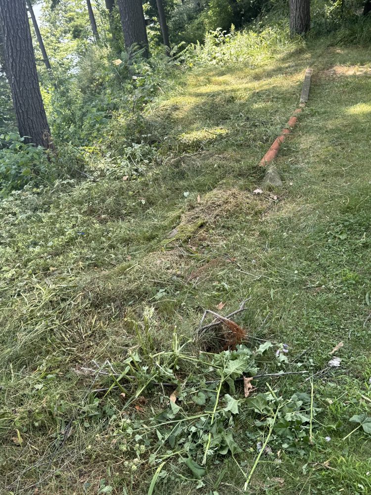 Landscaping Lawn Care for Daugherty's Tough Lawn Care in Essexville, MI