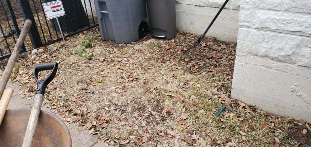 Our Fall Clean Up service prepares your yard for winter by removing leaves, debris, and dead plants, ensuring a tidy landscape and promoting healthy growth for the upcoming spring. for Cortez Landscaping Services in Mesquite, TX