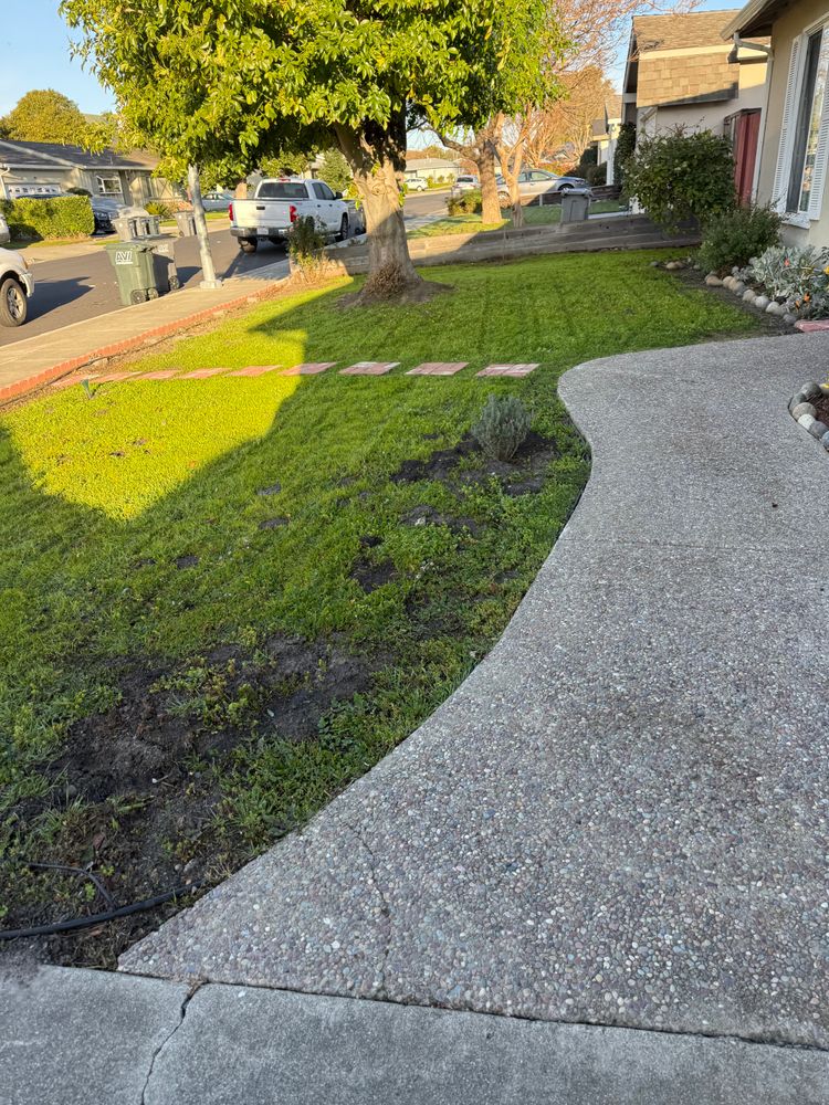 All Photos for CBA Landscaping in Hayward, CA