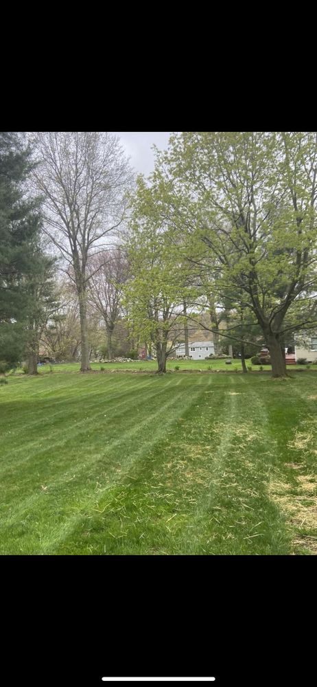 Lawn Maintenance  for Ace Landscaping in Trumbull, CT