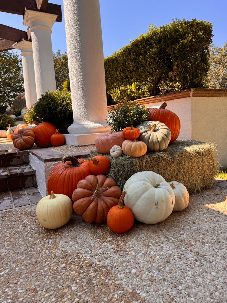 Fall Decorations  for Espinoza Landscape & Construction  in San Antonio, TX