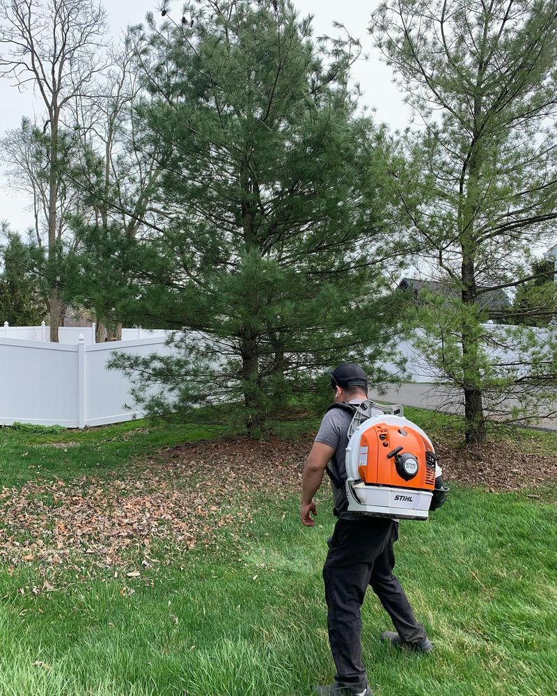 Our French Drains service effectively removes excess water from your property, preventing flooding and water damage to your landscaping. Trust us to keep your yard dry and beautiful year-round. for 4 Brothers Landscaping LLC in Albany, NY