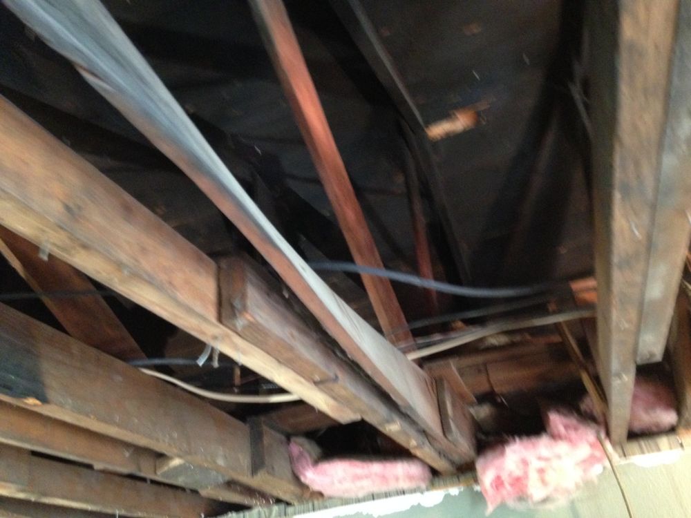 All Photos for CSI of Chicago in Chicago, IL