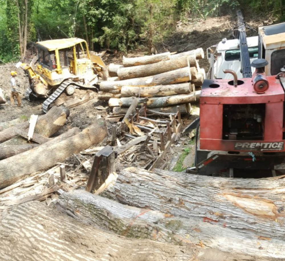 Logging for Bennett Logging in Gosport, Indiana