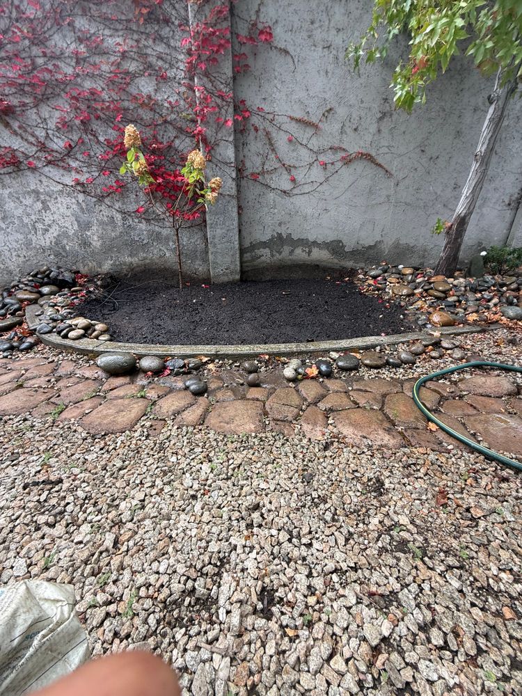 All Photos for CBA Landscaping in Hayward, CA