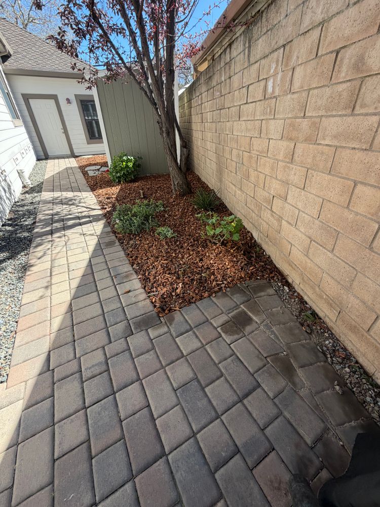 All Photos for CBA Landscaping in Hayward, CA