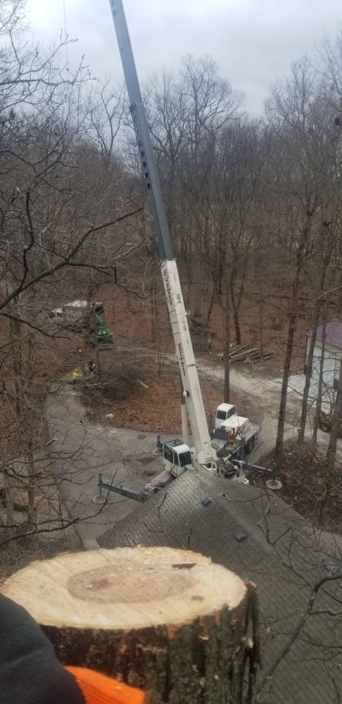 All Photos for Advanced Tree Solutions in Rockville, IN