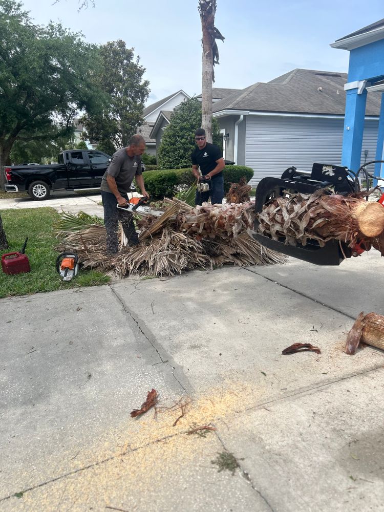 All Photos for Top Notch Tree Experts in Orange Park, FL