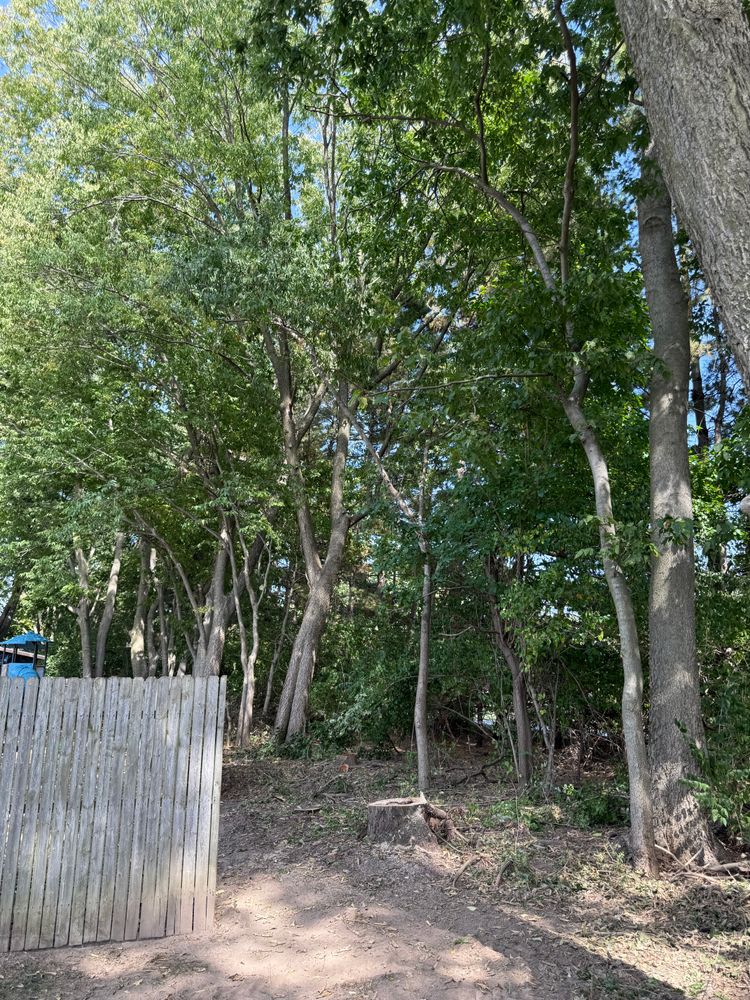 Tree Removal for Hunnicutt’s Tree Service L.L.C. in Monticello, IN