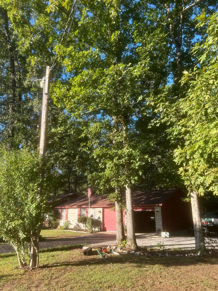 All Photos for McBee’s Tree Service in Sewanee, TN