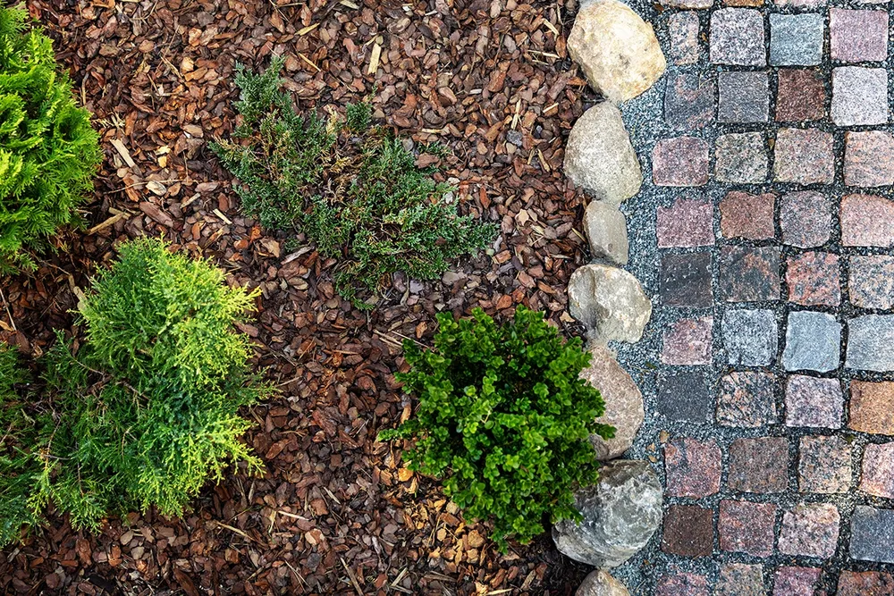 Citrus County Mulch Installation – Beautify & Protect Your Landscape for Cornerstone landscapes in Lecanto, FL