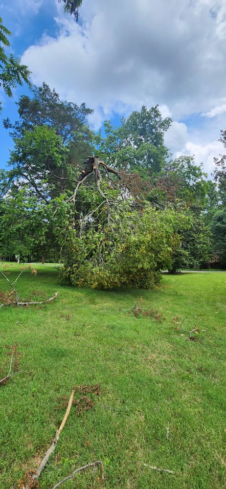 All Photos for Tree Fellers in Sumner County, TN