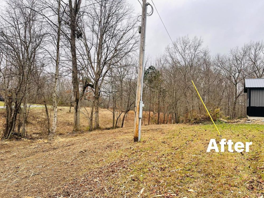 Our Forestry Mulching service efficiently clears overgrown land, transforming it into usable space by mulching unwanted vegetation, improving your property's aesthetics, and promoting healthier tree growth without harming the environment or soil structure. for Mountain Land Services LLC. in Oneida, TN