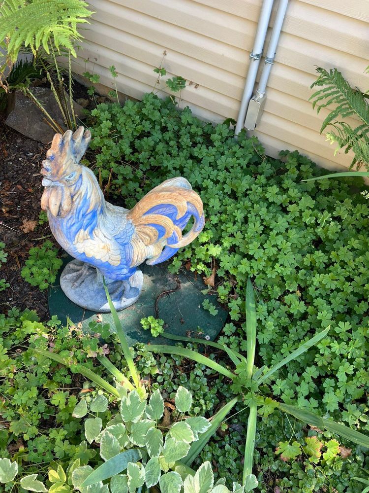 All Photos for V.I.P Plumbing in Sandpoint, ID