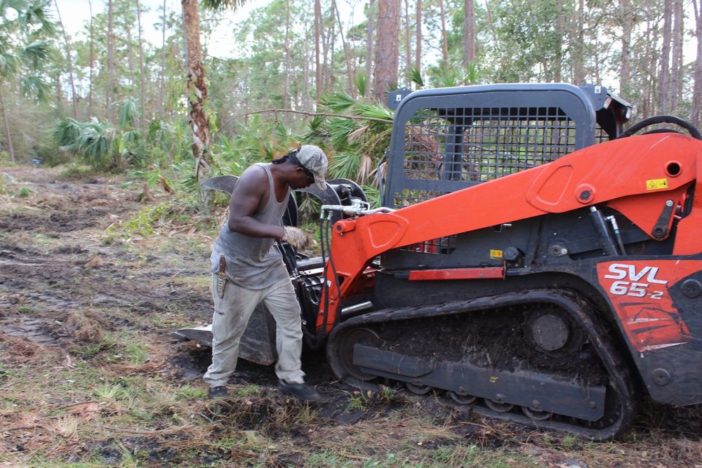 Tree Removal for American Tree Masters in Alvin, TX