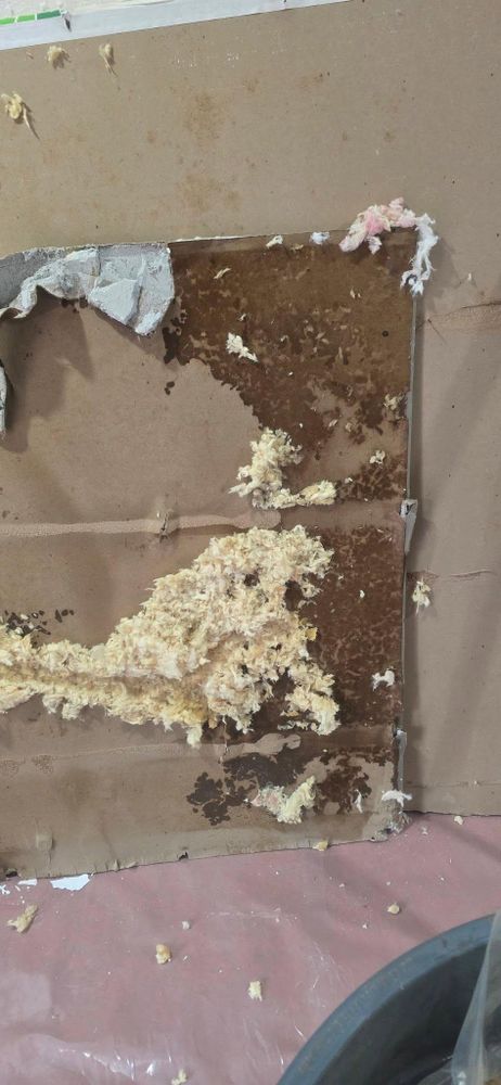 All Photos for Precision Enterprise Construction LLC in Loganville, GA